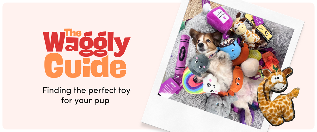 The Puppy: Selecting the Right Toys and Treats