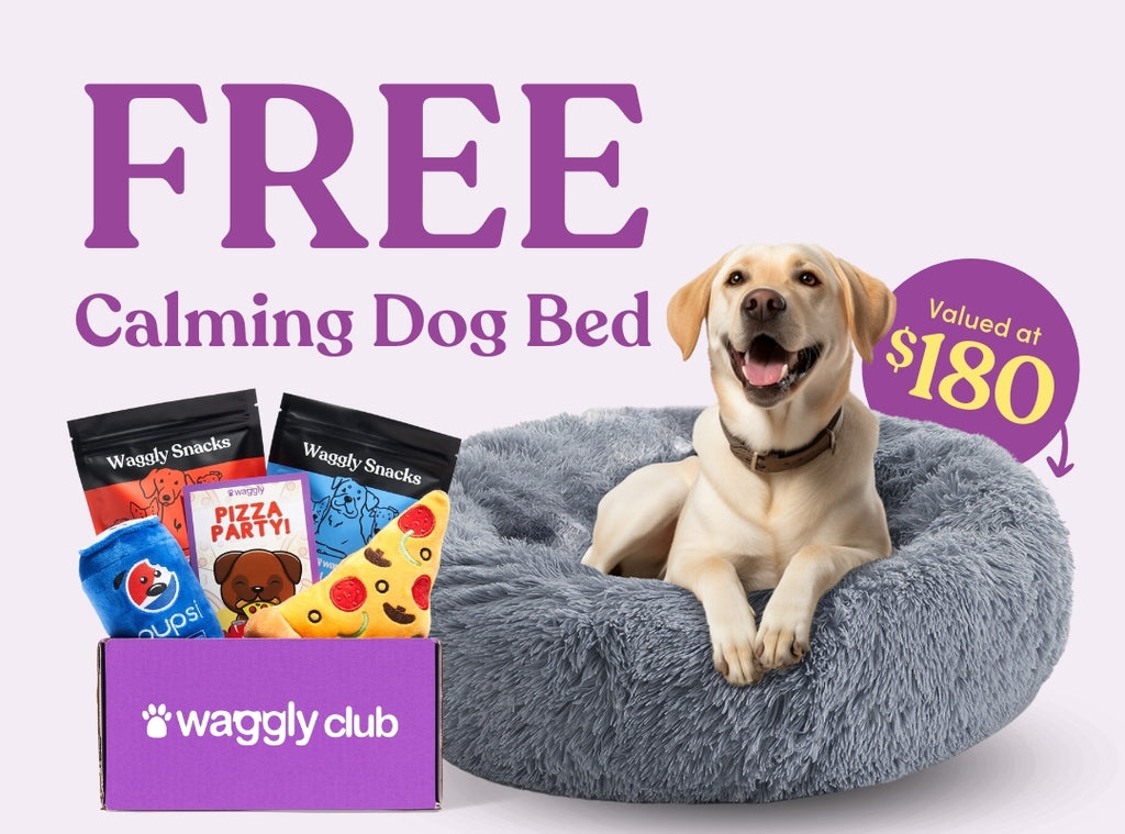 FREE Calming Dog Bed