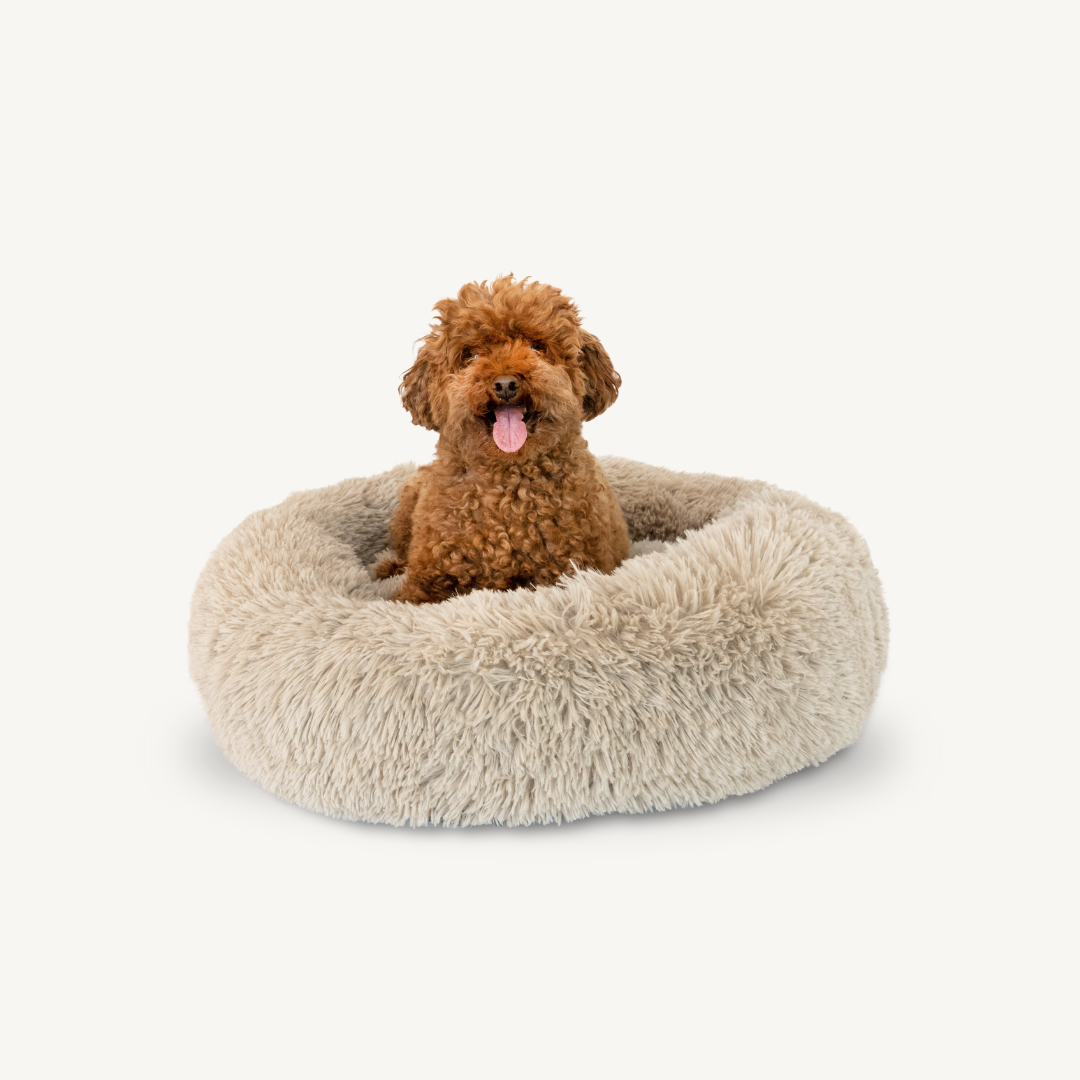 Waggly Calming Dog Bed - Taupe