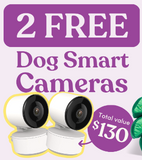 FREE Two Smart Cameras