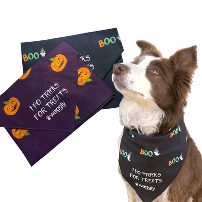 Halloween Bandana