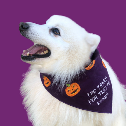 Halloween Bandana