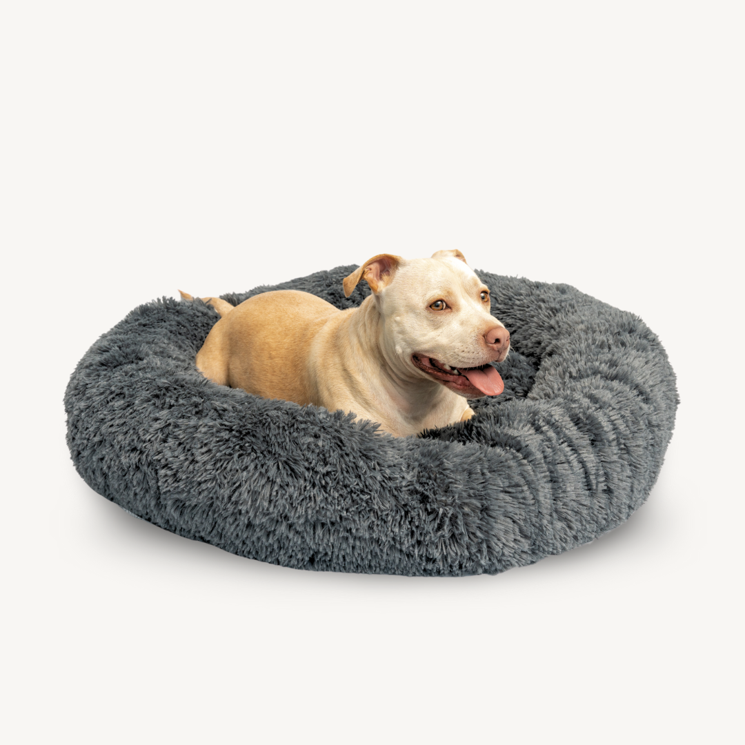 Waggly Calming Dog Bed - Dark Grey