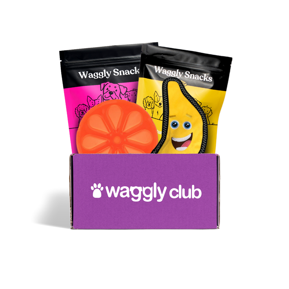 Waggly Tropical Tails Fun Box