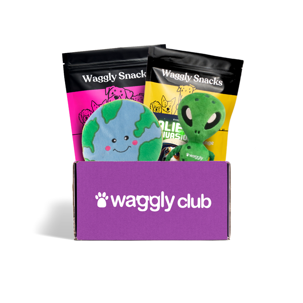 Waggly Alien Invasion Box