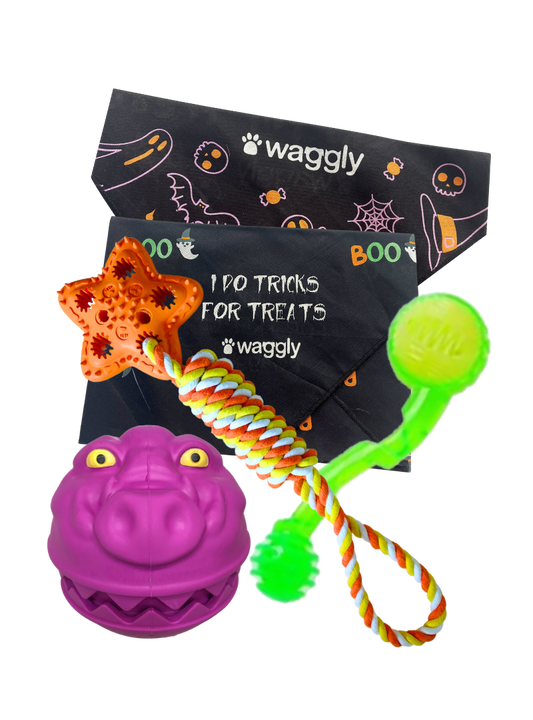 HOWL-O-WEEN Interactive  Dog Toy bundle