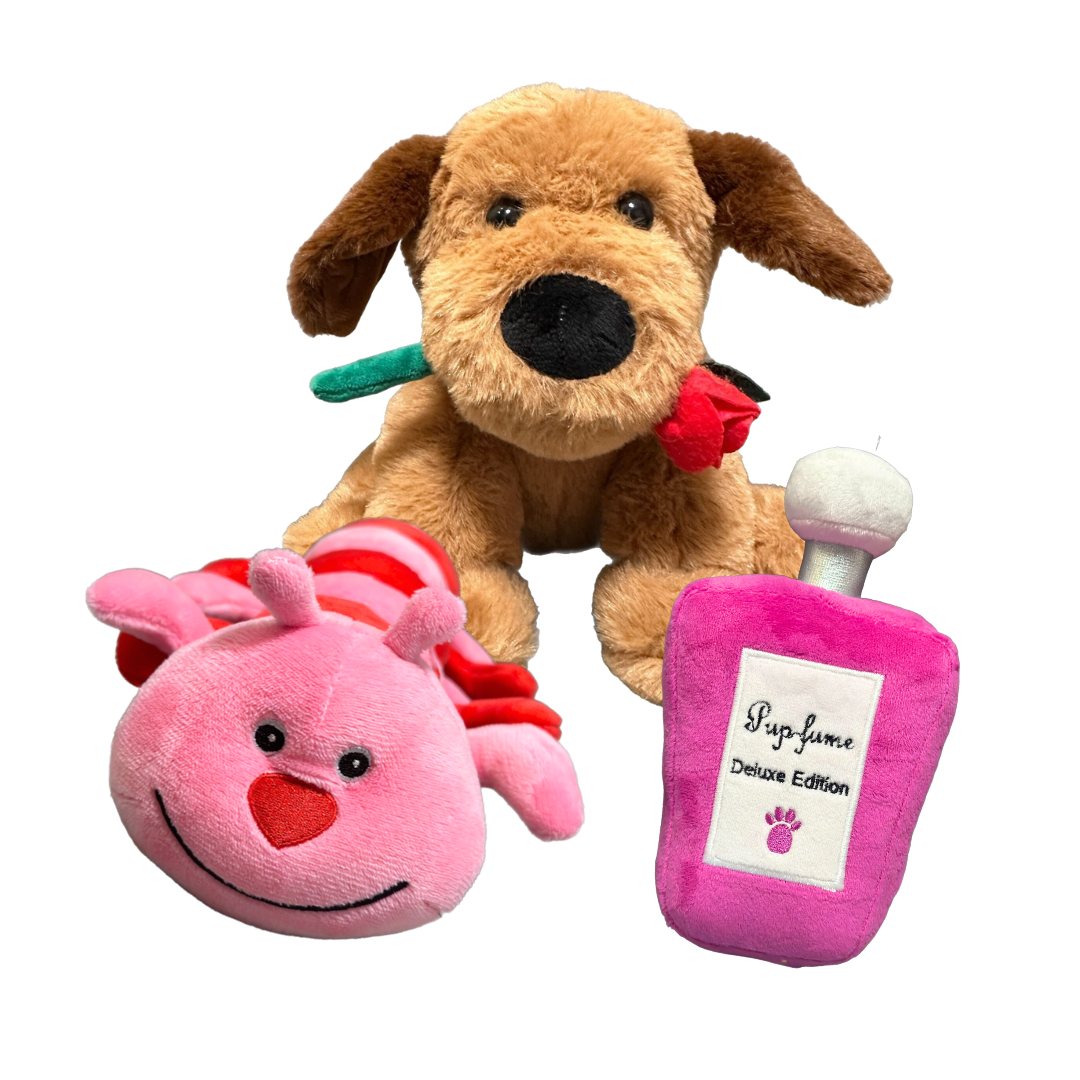 Pawsitively Plush Love Dog Toy Bundle