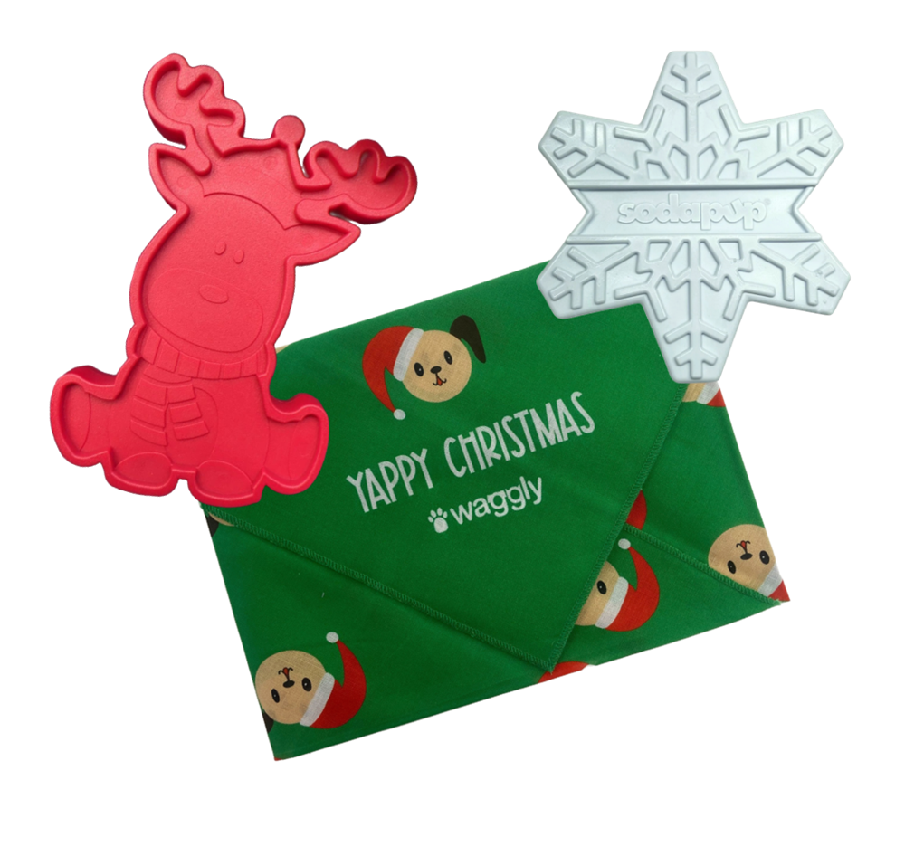 Power Chewer Holiday Fun Pack