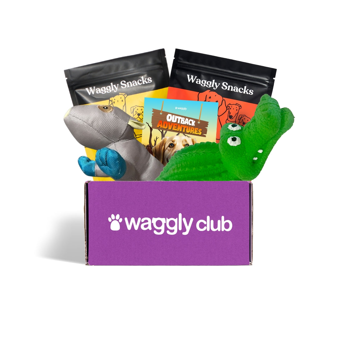 Puppy box subscriptions shop