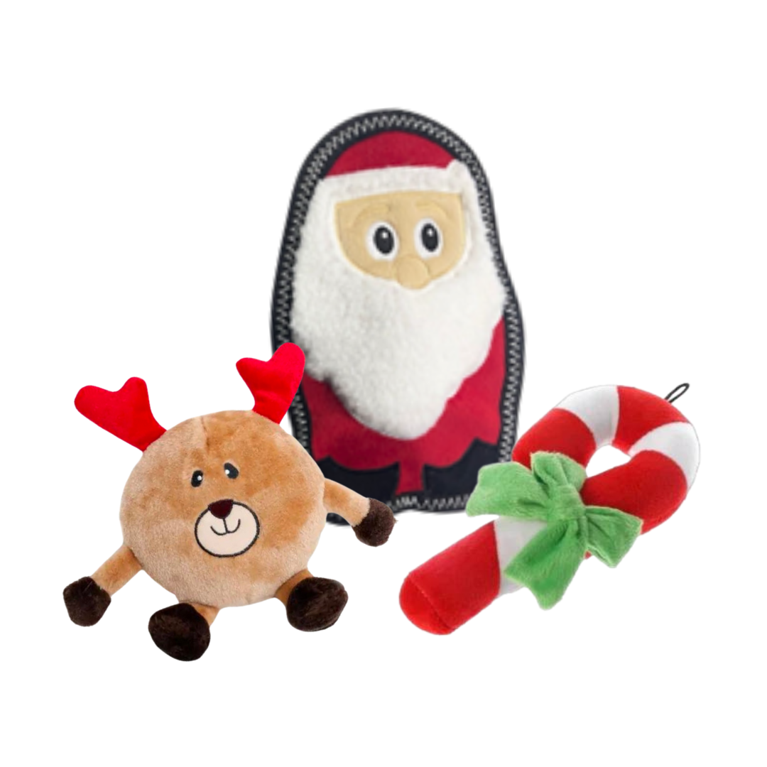 Santa's Doggy Delights Dog Toy bundle