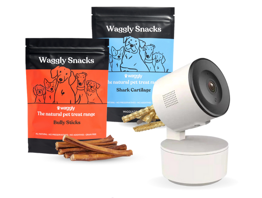 Waggly Smart Camera & Treat Chew Pack