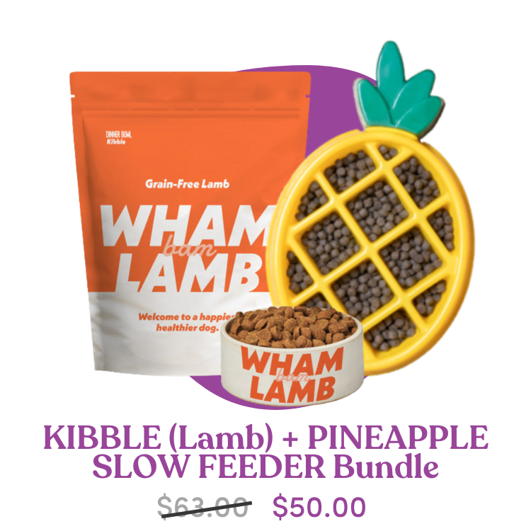Kibble Bag Lamb + Pineapple Slow Feeder Add-on