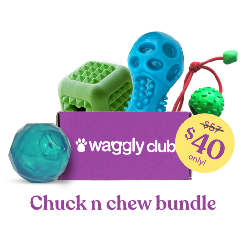 Chuck 'n Chew Bundle