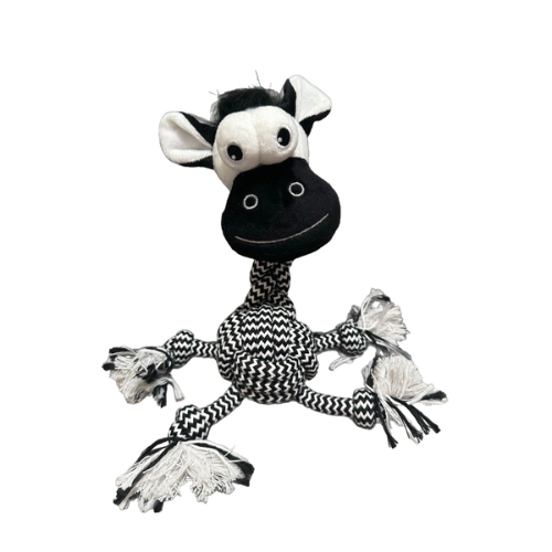 Waggly Rope Knot Zebra Dog Toy