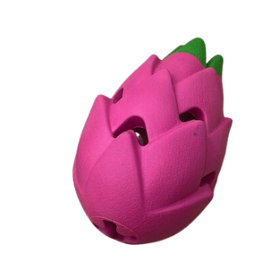 Waggly Farmers Market Dragon Fruit