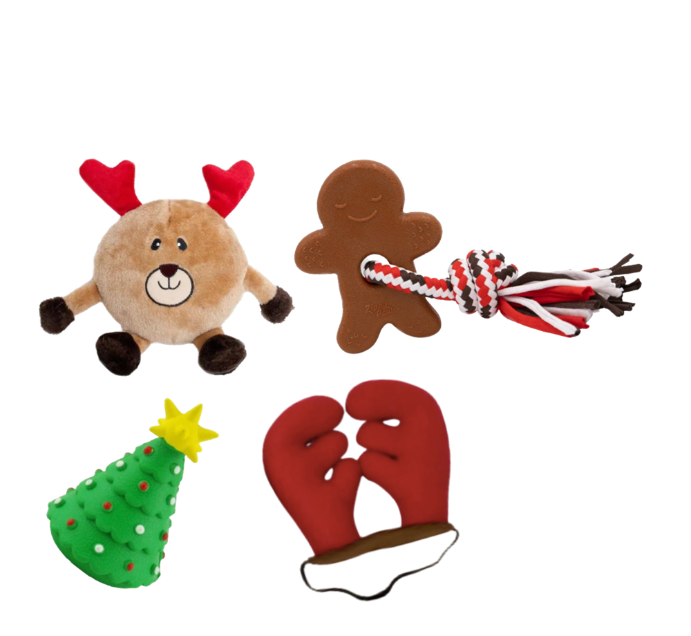 Waggly Holiday Delight Pack