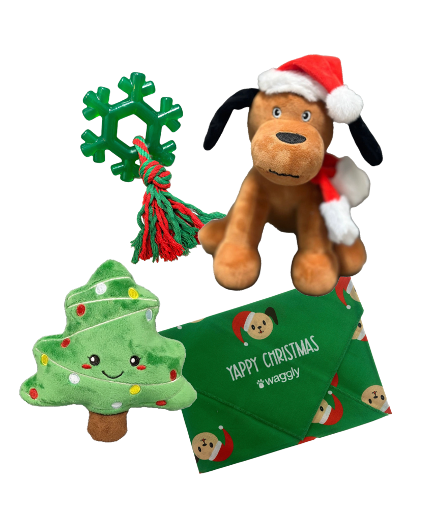 Waggly Holiday Paw-ty Pack