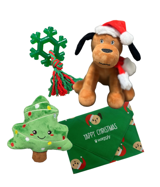 Waggly Holiday Paw-ty Pack