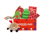 Waggly Toy Bundle (MP Sale)