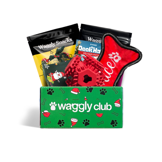 Waggly Howl-iday Bounce, Play & Fetch Box