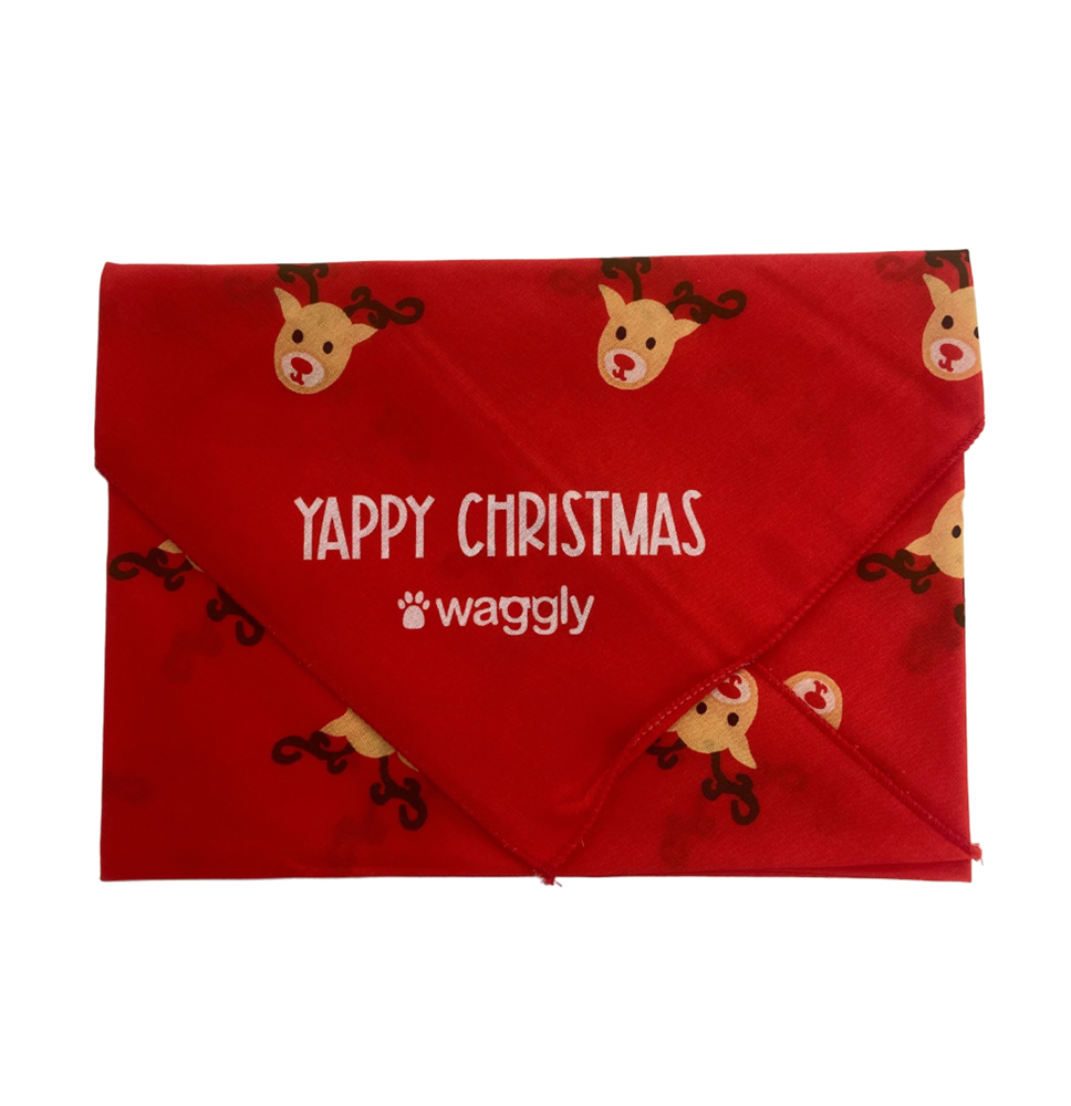 Waggly Yappy Christmas Bandana