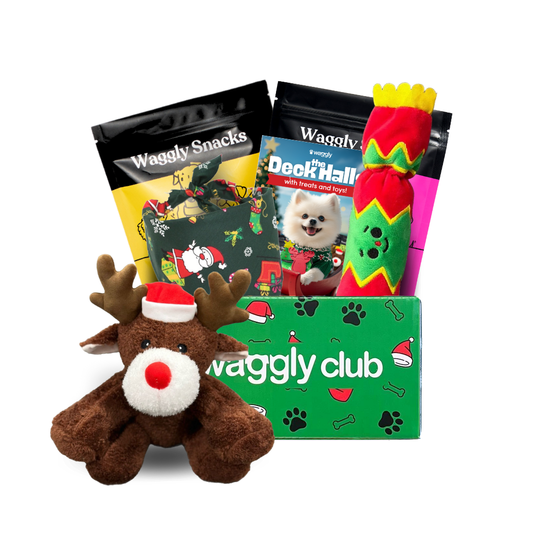 Waggly Howl-iday Plush Party Box