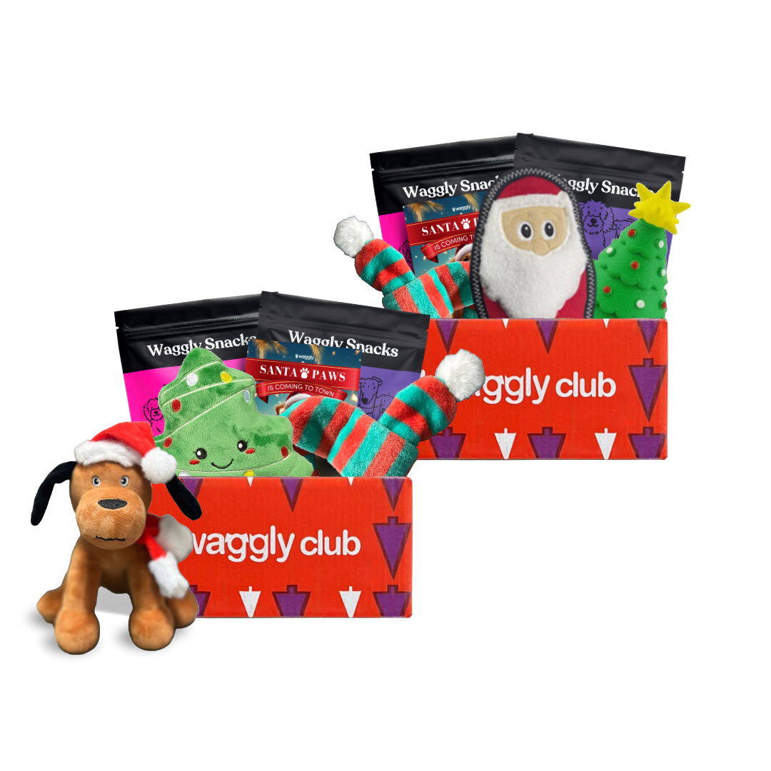 Plush & Play Box Bundle