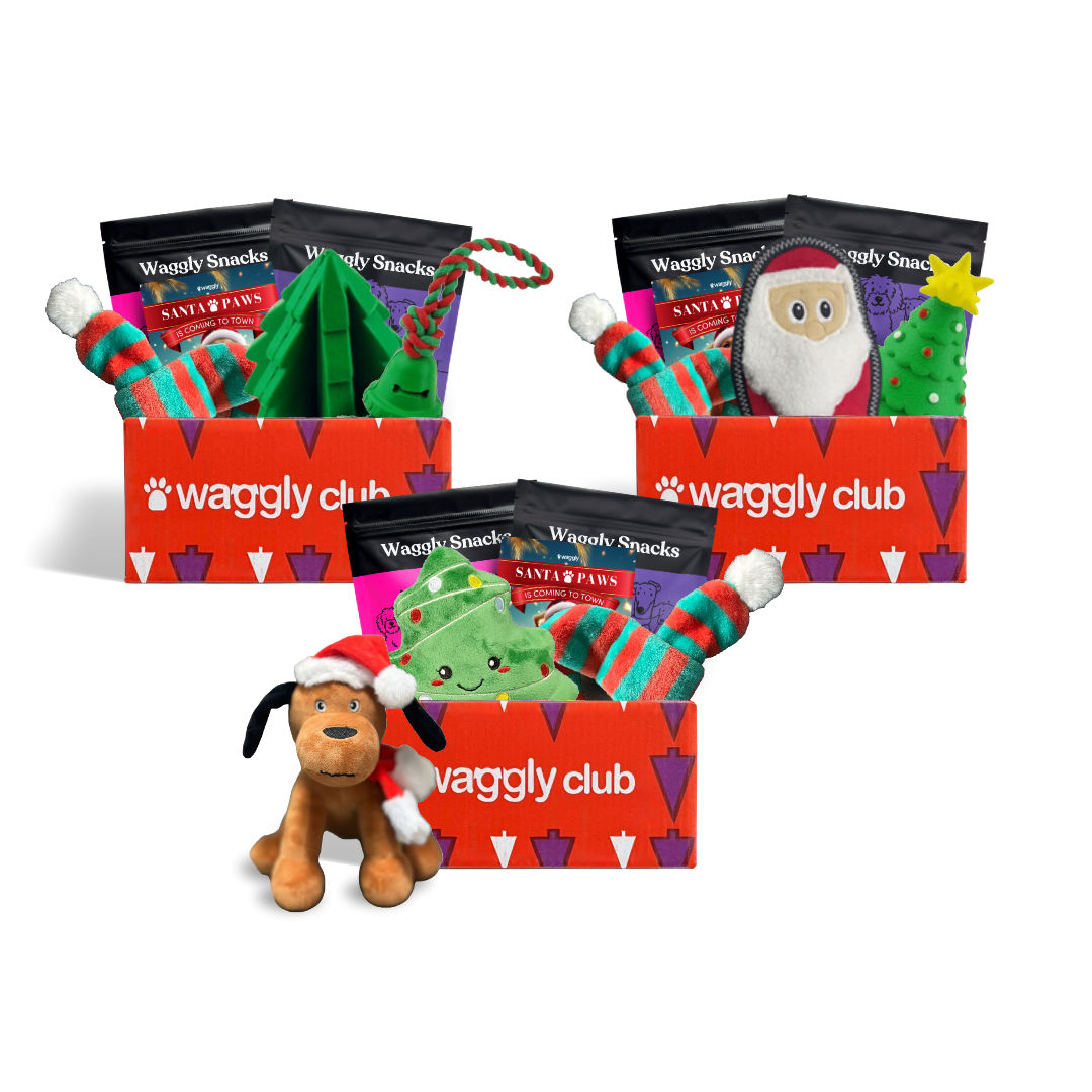 Santa Paws Box Bundle