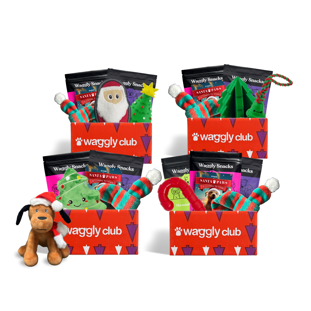 Pawsitively Pup-tastic Box Bundle