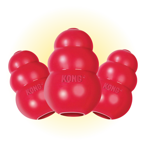 FREE KONG Toys Image 