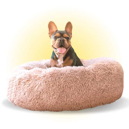 FREE Calming Dog Bed Image 