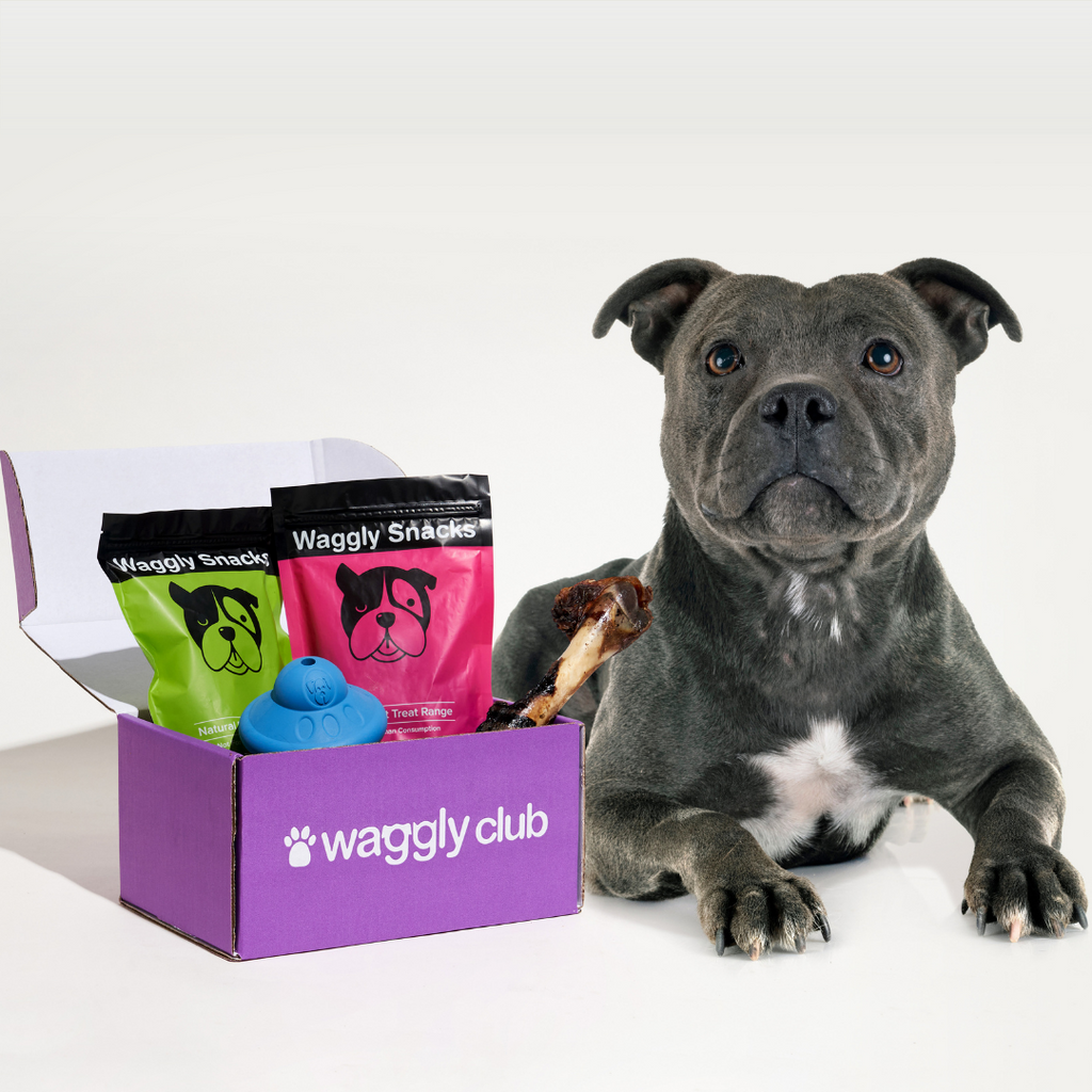 Power Chewer Subscription - Prepaid Gift