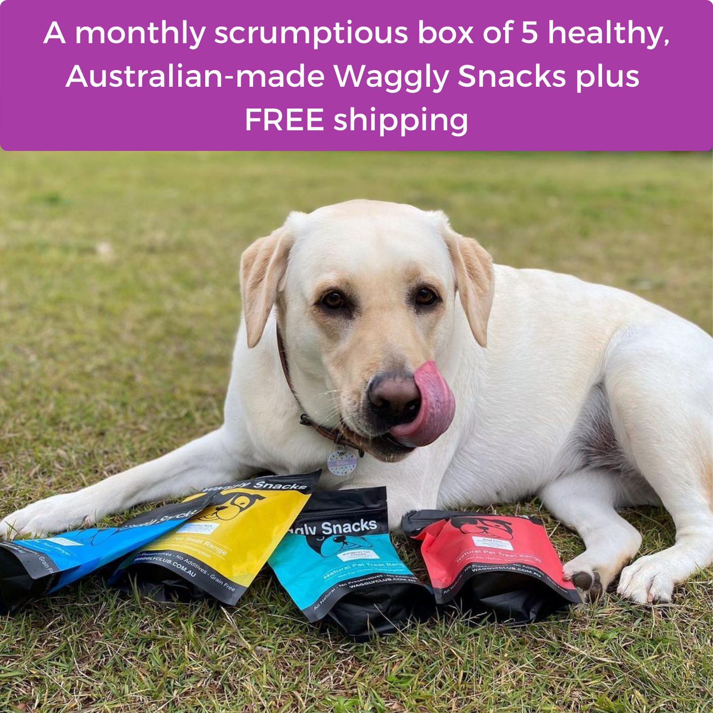 Treats Only Box Subscription