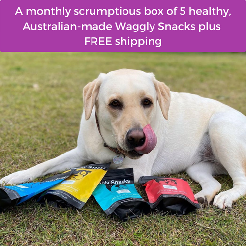 Treats Only Subscription Box Image 