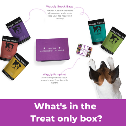 Treats Only Box Subscription