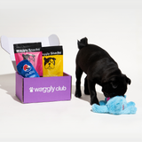 Puppy Subscription Box - Walking Kit