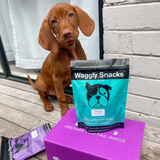 Puppy Subscription Box - Walking Kit
