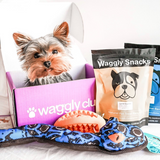 Puppy Subscription Box - Prepaid Gift